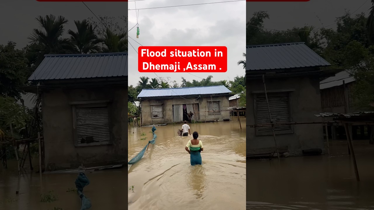 Flood situation in Dhemaji, Assam #shorts #yt #ytviral