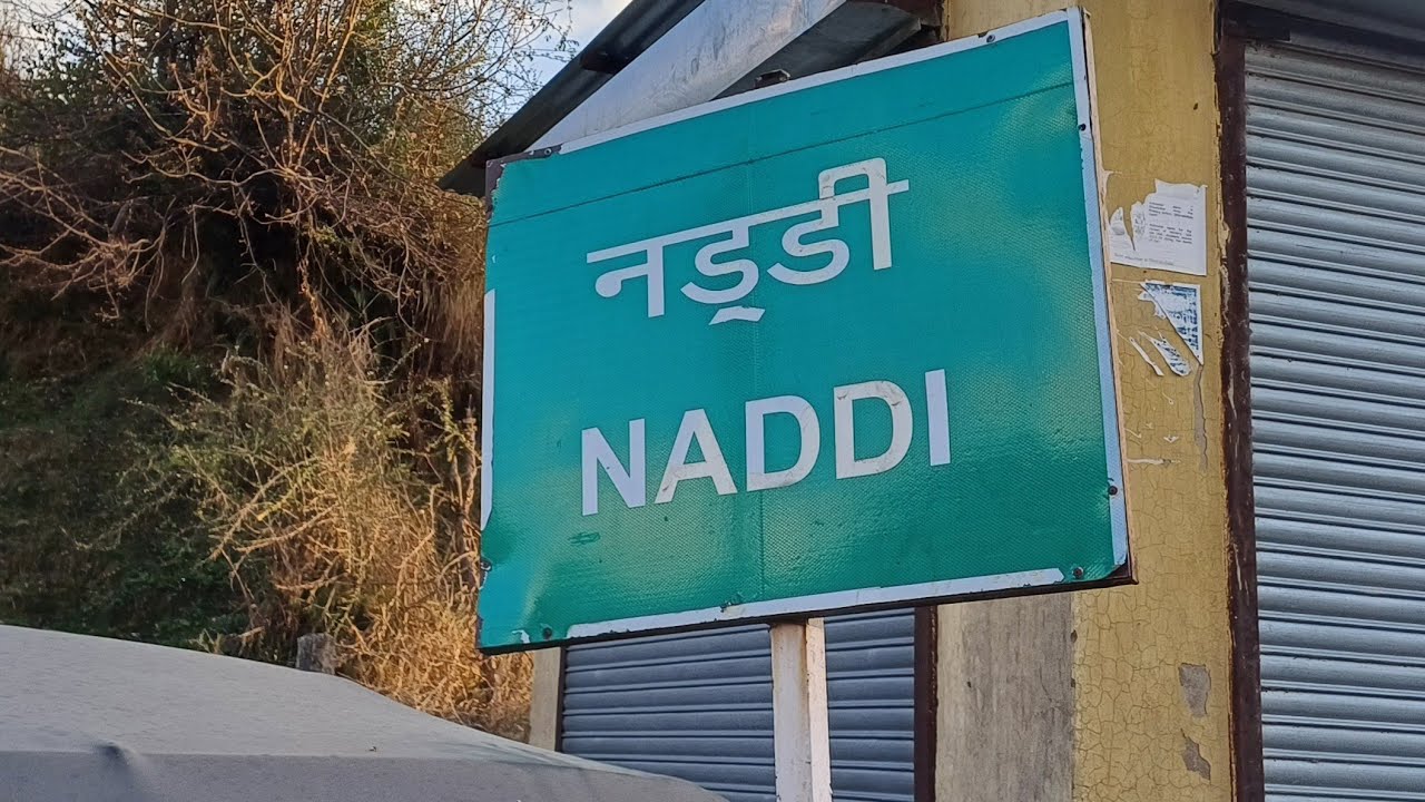 Himachal k Naddi village mein mila Husky Dog