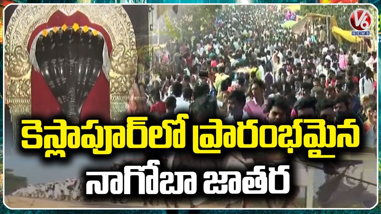 Nagoba Jatara 2025: Keslapur Meshram Community Start the Festivities | V6 News