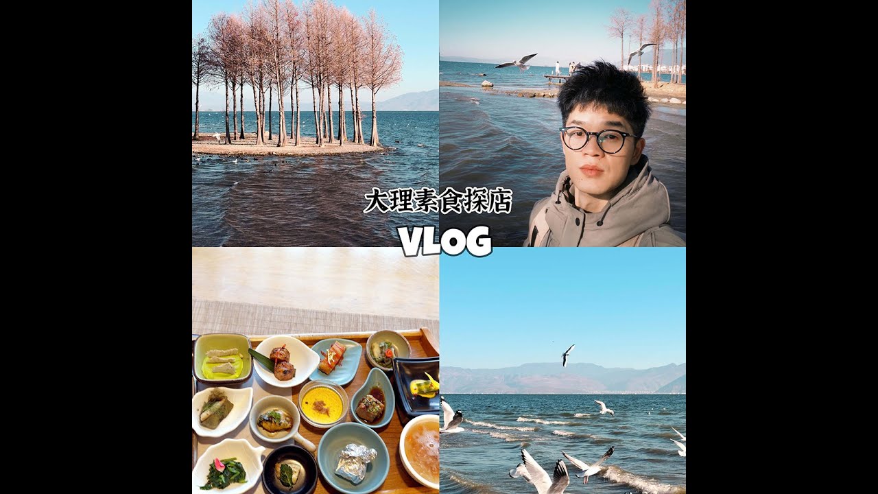 大理素食旅拍 | 素食真的多，海鸥真的美