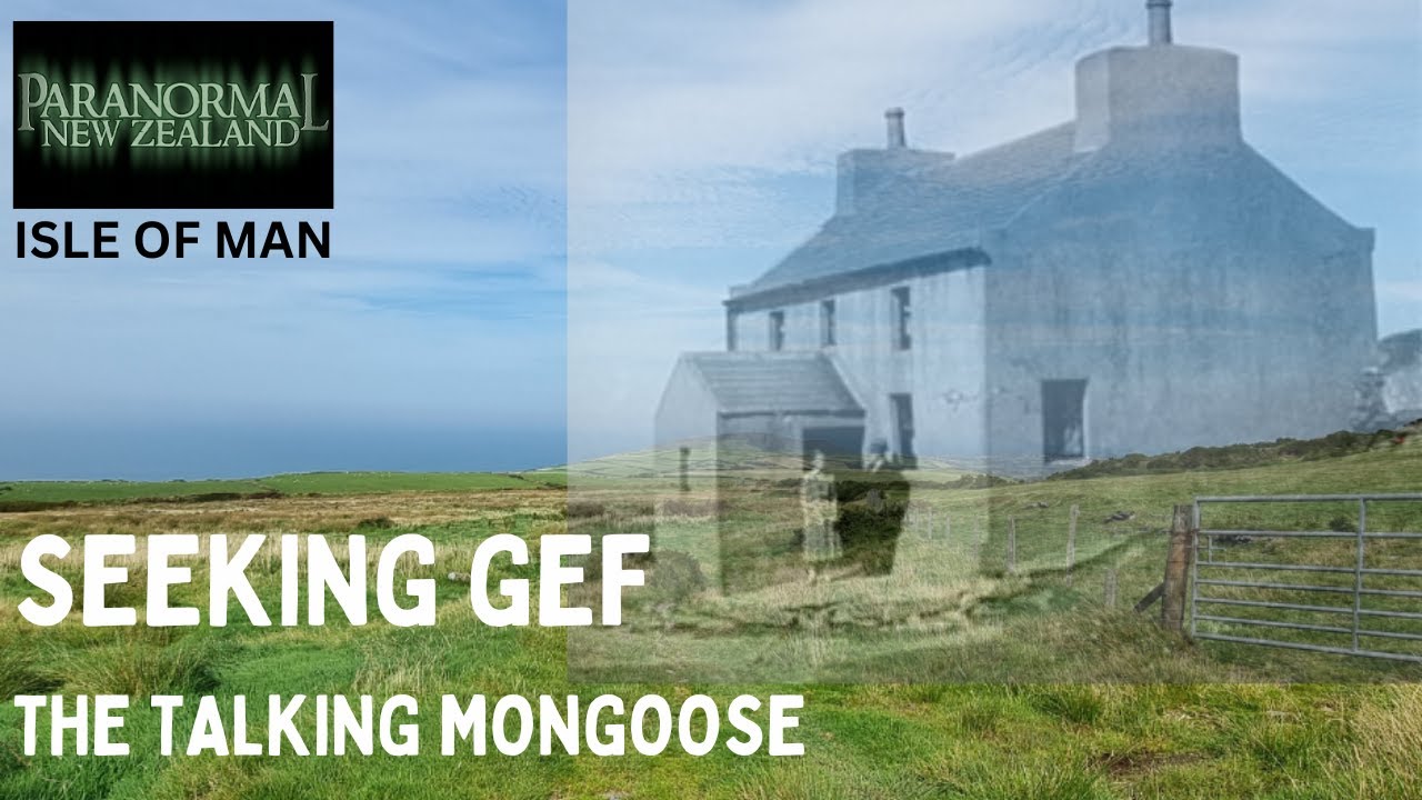 Seeking Gef the Talking Mongoose