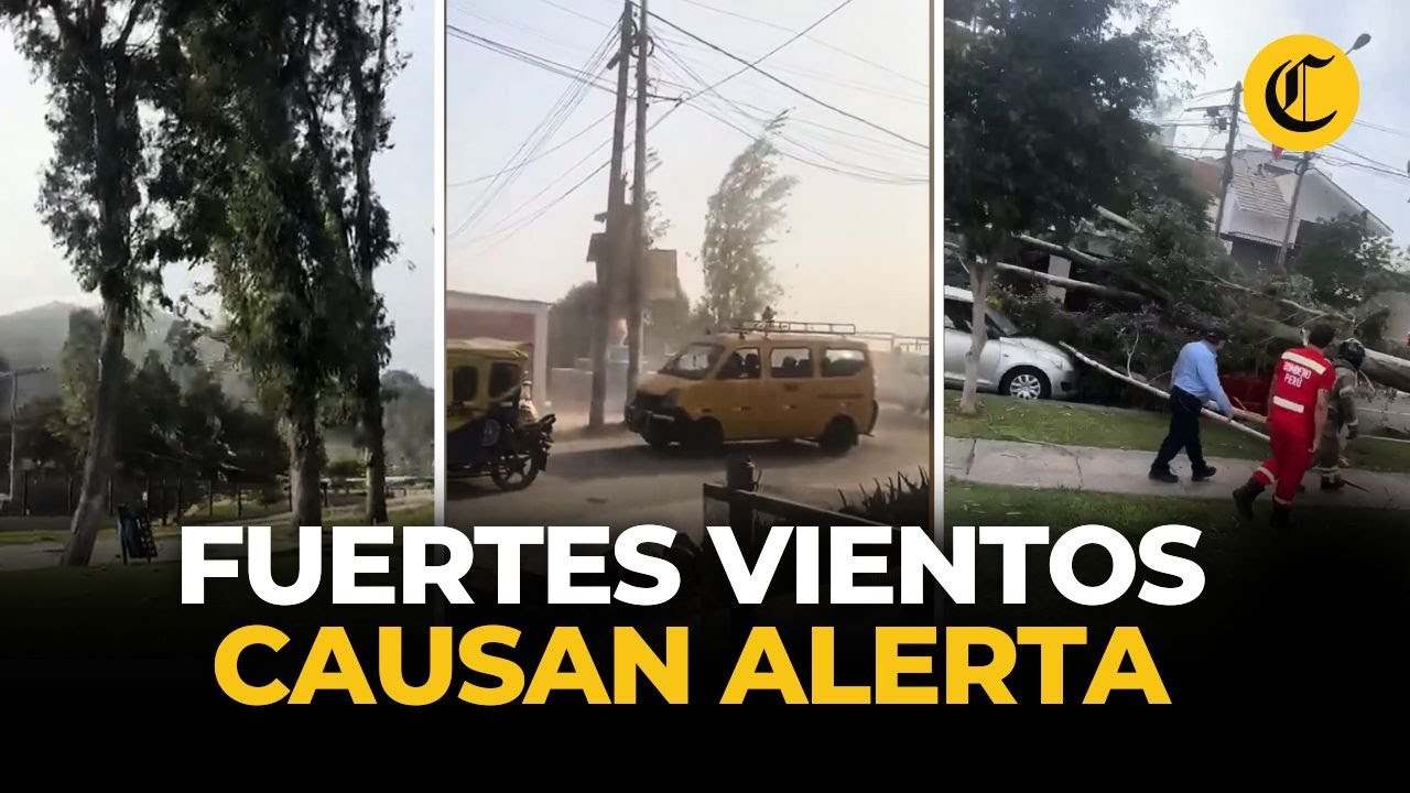 ¿Qué son los VIENTOS PARACAS y como afectarán los FUERTES VIENTOS a LIMA? | El Comercio