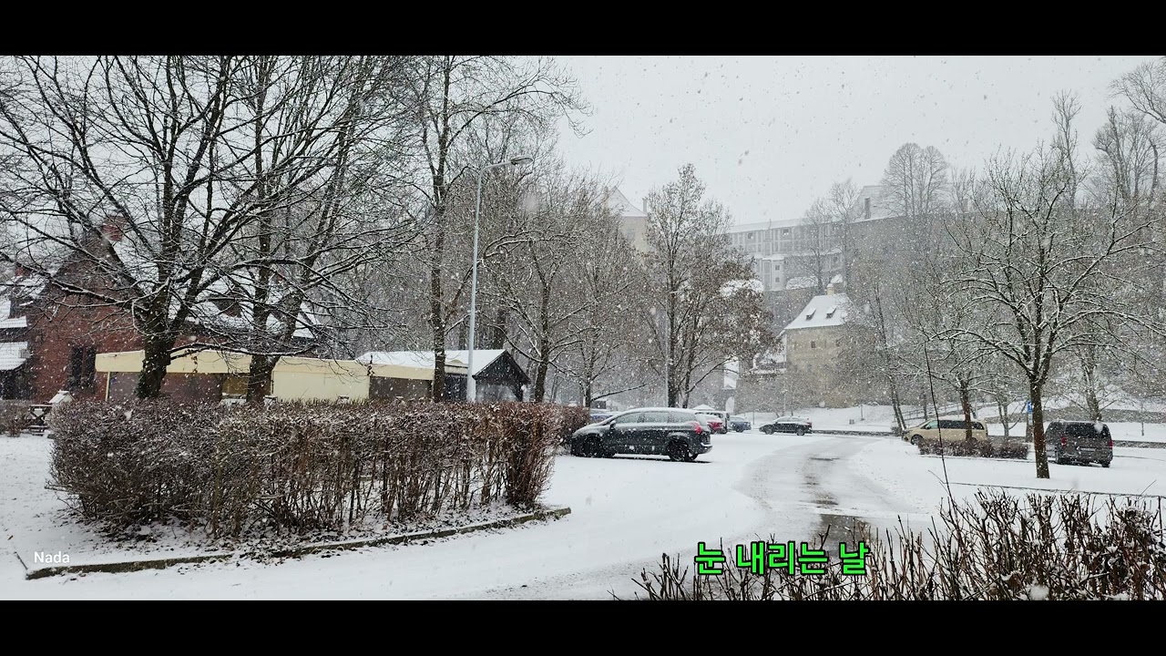Snowy day 눈 내리는 날