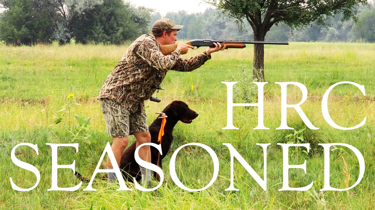 Apollo | HRC Seasoned Hunt Test | First Pass