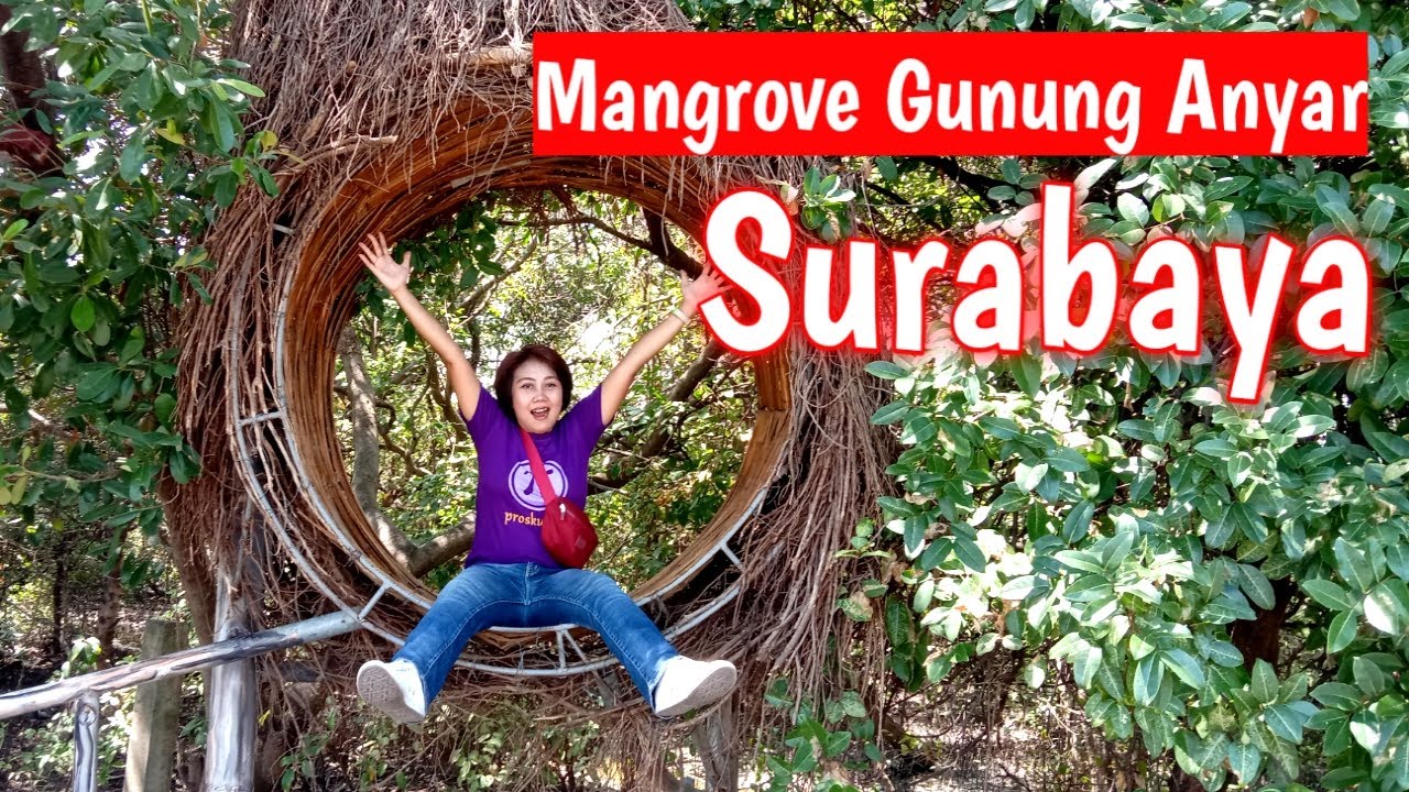 Wisata Hutan Mangrove Gunung Anyar Surabaya | Explore Hutan Mangrove Gunung Anyar Surabaya 2020