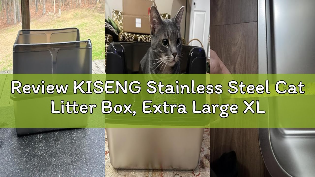 Review KISENG Stainless Steel Cat Litter Box, Extra Large XL Odor Free Metal Litter Box with High Si