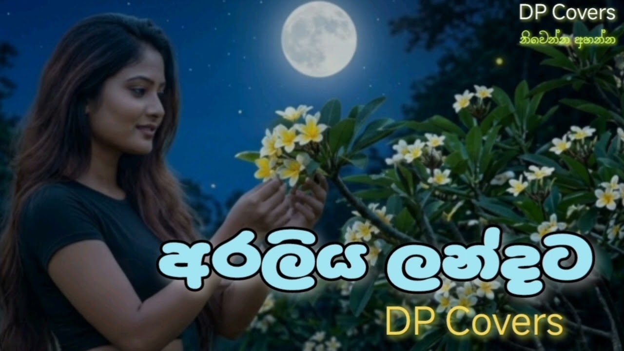 Araliya Landata ( අරලිය ලන්දට ) | DP Covers 💆‍♀️♥️ | නිවෙන්න අහන්න 