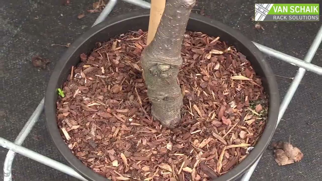 Van Schaik Rack Solutions from A.M.A.