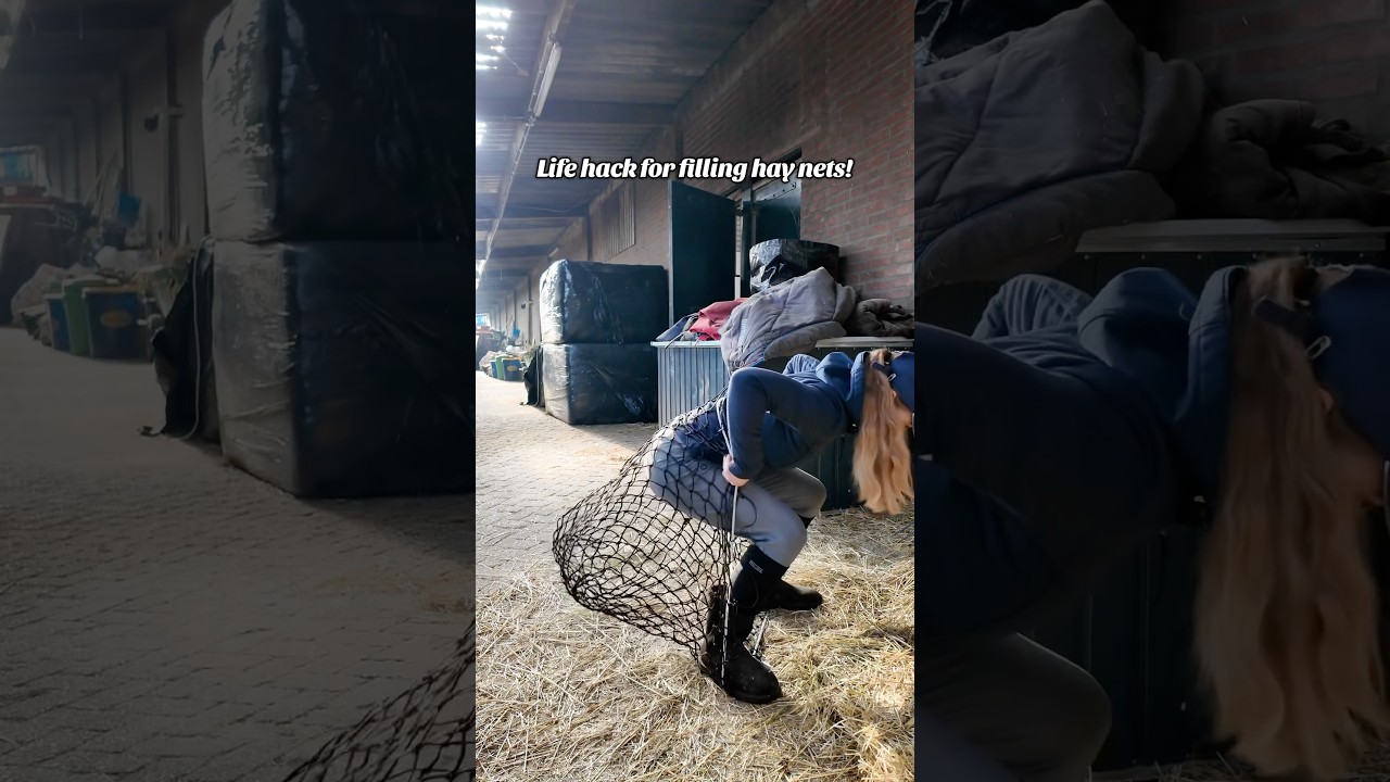This changed my life 🤯 #equestrian #horsegirl #equestrianlife #horses #horselifehack #pony