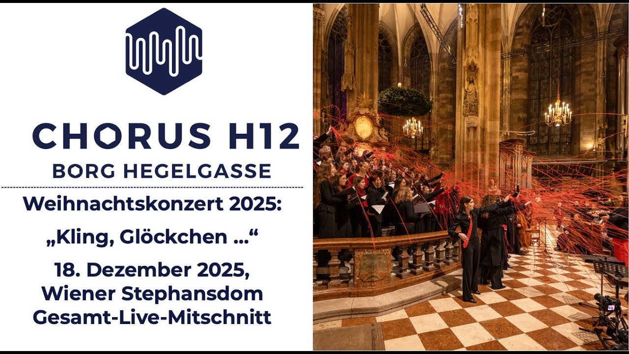 Weihnachtskonzert 2025 - Stephansdom - Musikzweig BORG Hegelgasse 12, BORG Grieskirchen