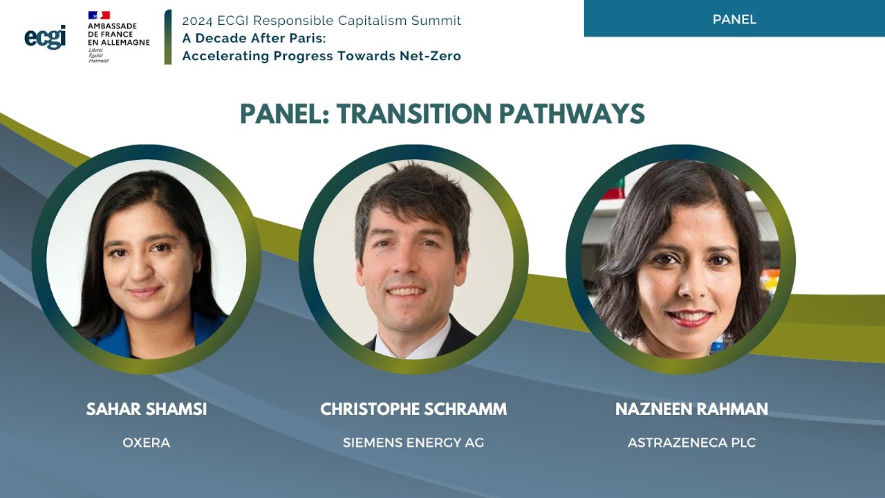 2024 ECGI Summit: Panel Discussion: Transition Pathways