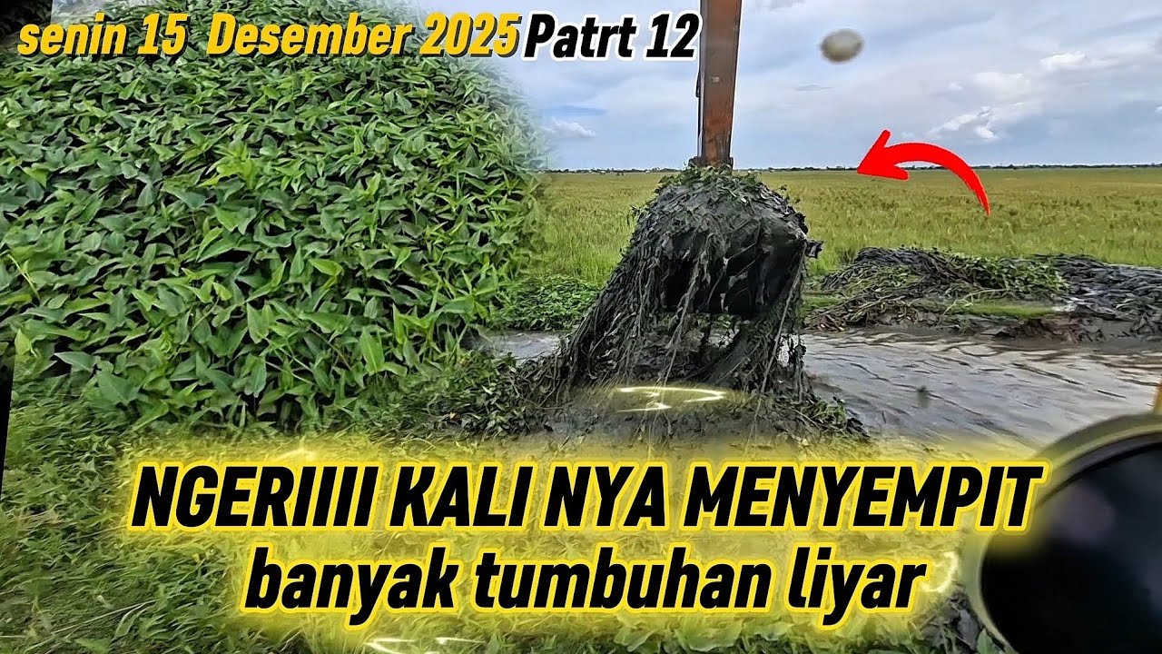 ‼️ ngerii kali nya smangkin kesini mangkin sempit & banyak KANGKUNG LIYAR