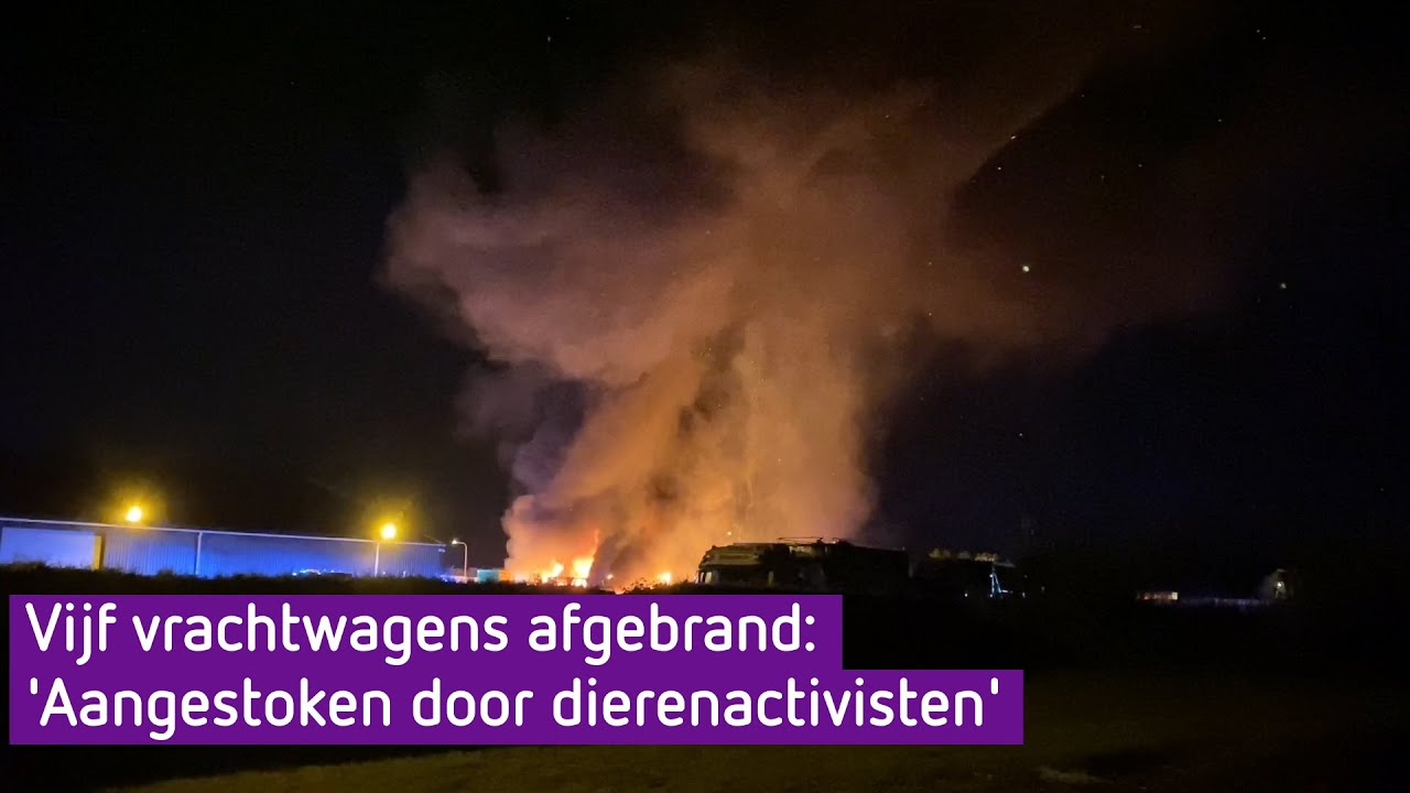 'Vijf vrachtwagens afgebrand, aangestoken door dierenactivisten'