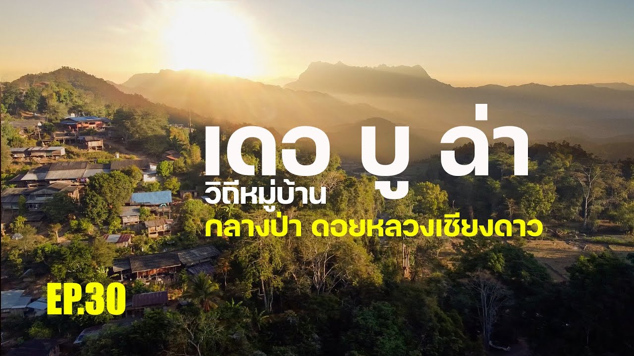 EP.30 แม่คองซ้าย #เชียงดาว หมู่บ้านกลางป่าในดอยหลวงเชียงดาว Village deep in the middle of the forest