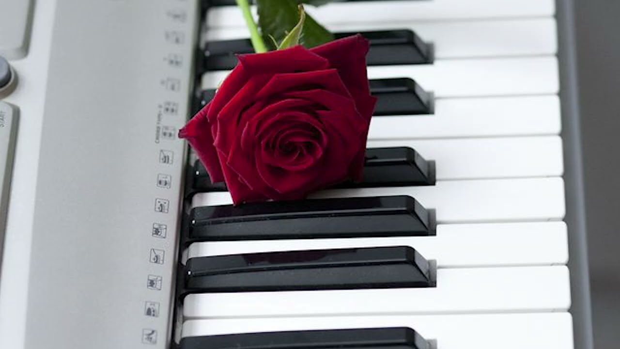 Rose : Beautiful , Romantic & Relaxing Piano