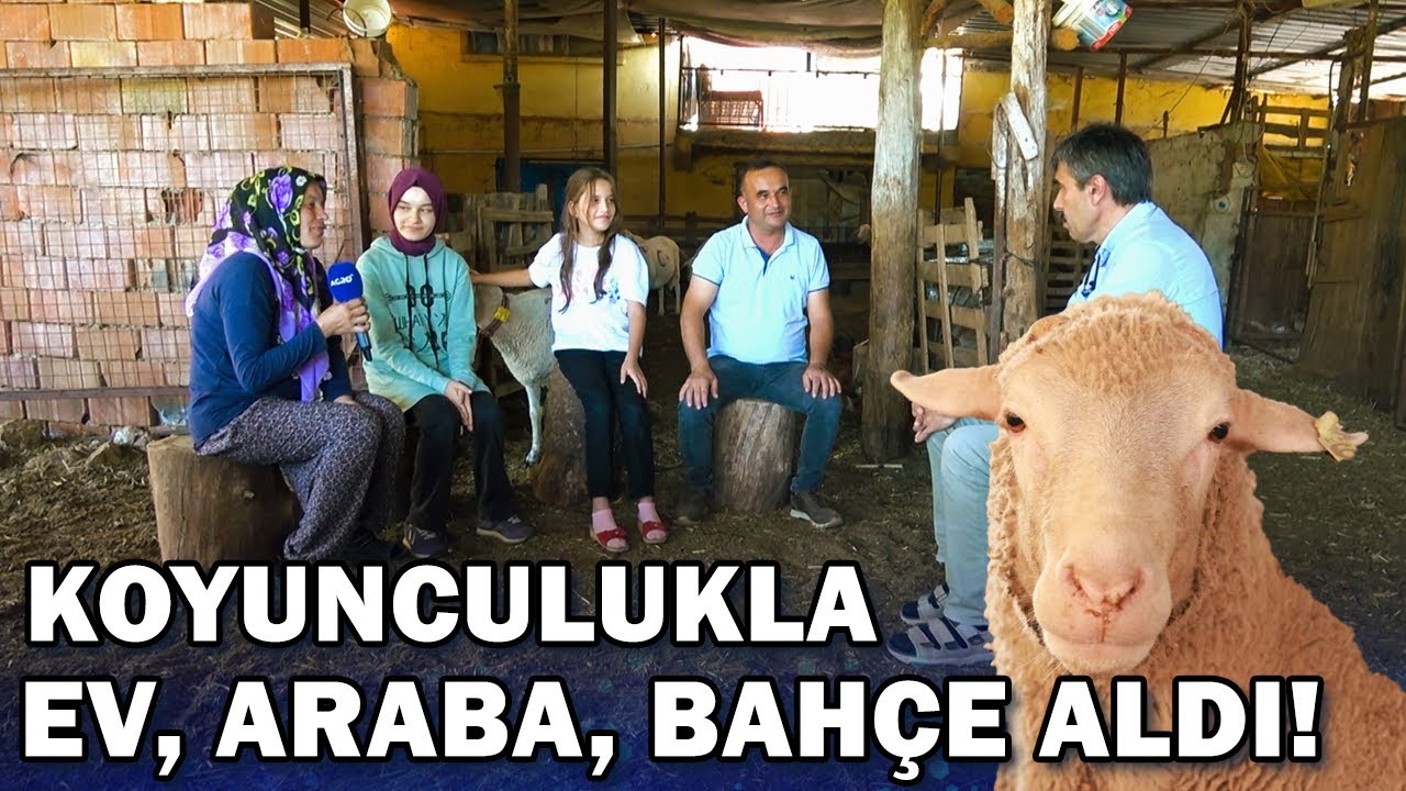 Koyunculukla Ev, Araba, Arsa Aldı! Hayvancılığa Aşık Aile / Abi Nerdesin?