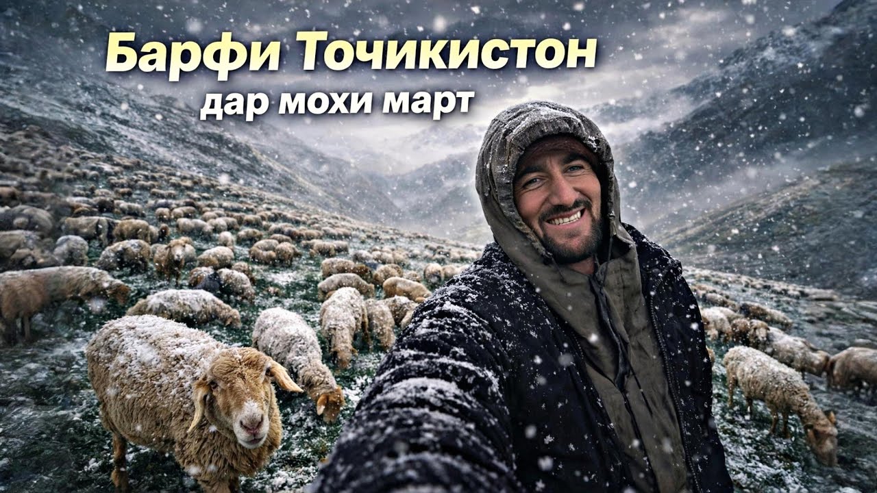 ЯГОНЧИ ГИРЕН ХУРЕН МЕМУРЕН АЗ ГУШНАГИРА / ХОЧИ ДАХМАРДА АЗ БОРИДАНИ БАРФ ХУРСАНД ШУД 