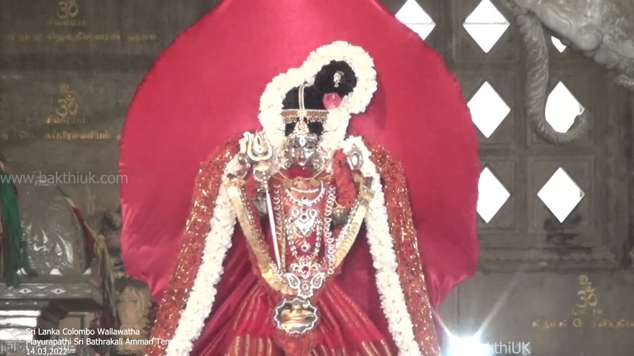 Mayurapathi Sri Bathrakali Amman Kovil Wallawatha Colombo Sri Lanka 14.03.2022 கொடியேற்றம்
