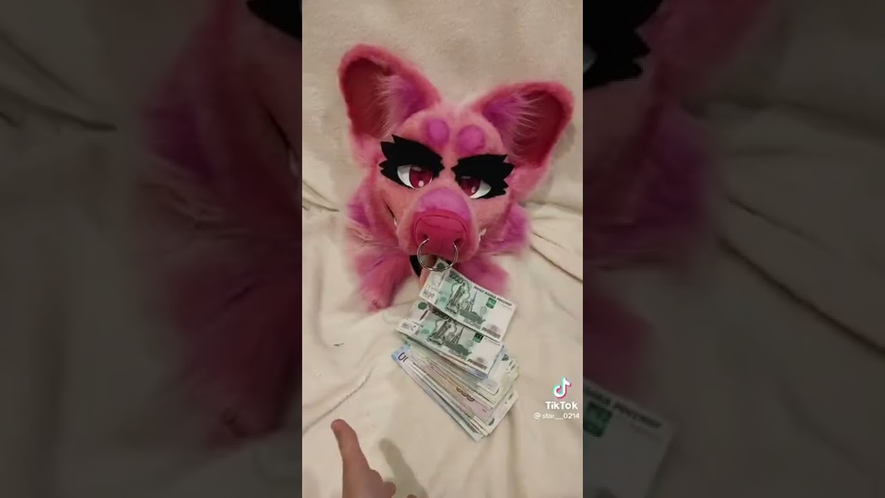 Фурри из тт  3 часть ༼ つ ◕◡◕ ༽つ
