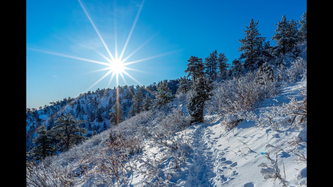 Mt Galbraith Loop via Cedar Gulch Trail - Spring Hike in Golden, Colorado