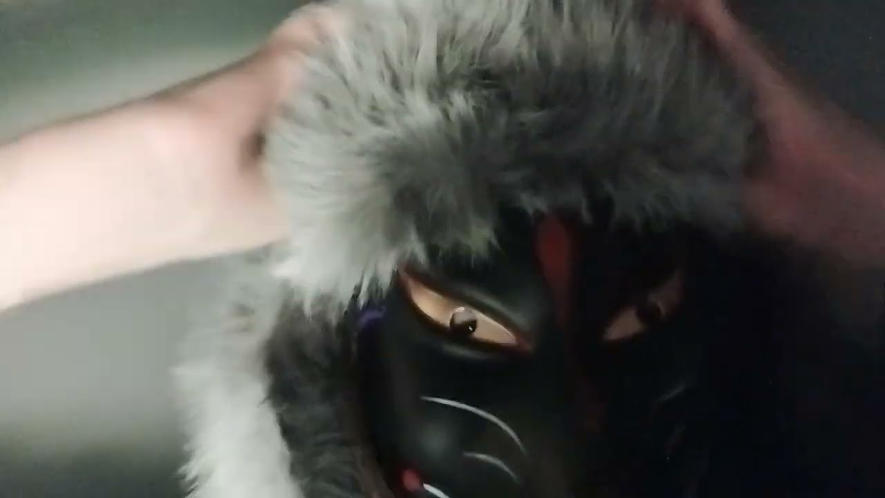 random triggers for Mr Blind Asmr