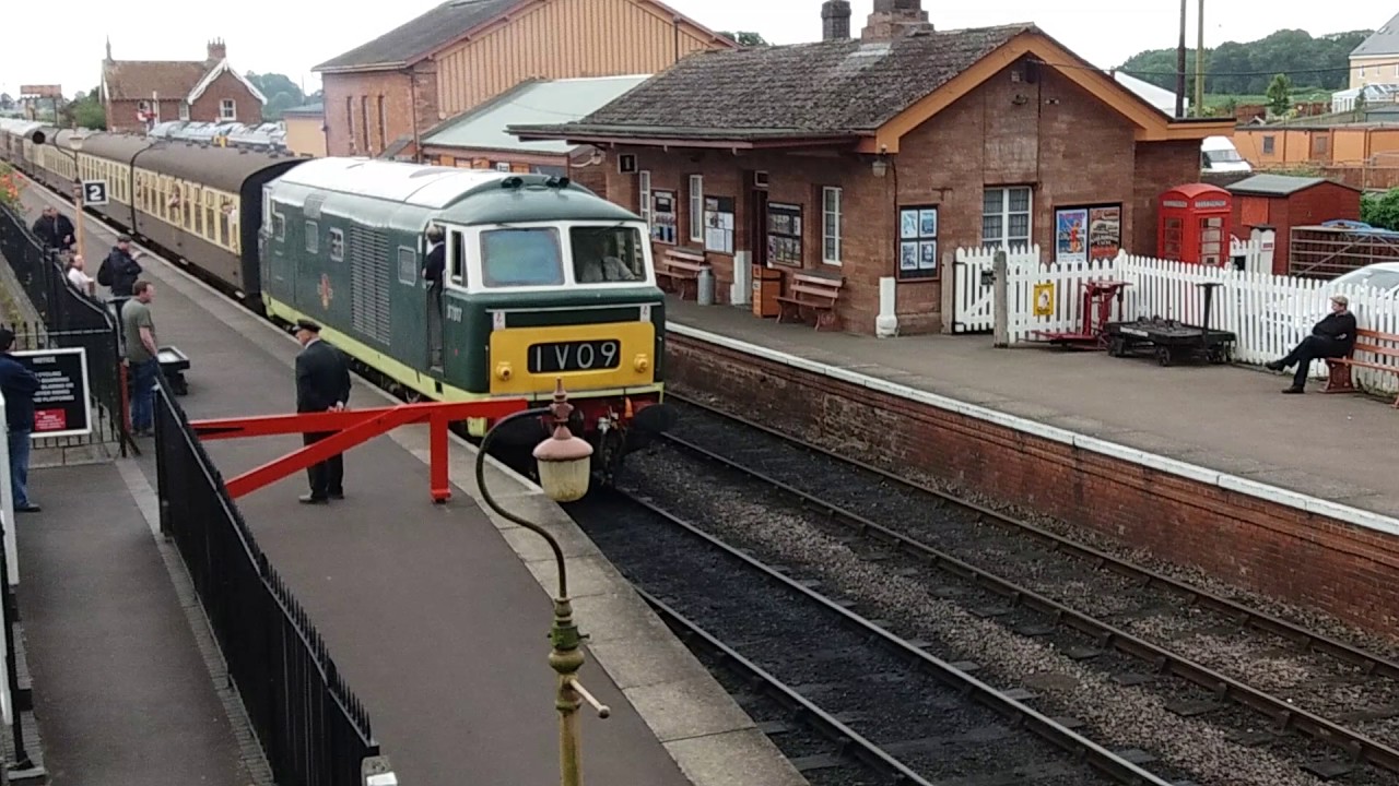 D7017 Hymek