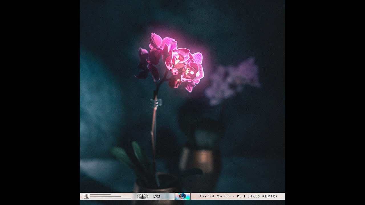 Orchid Mantis - Pull (HKLS Remix) // ID04