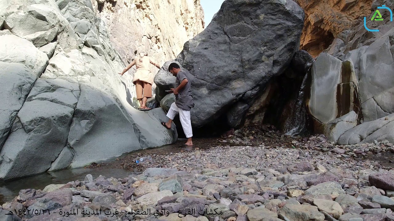 مكشات الفرع وادي الصفراء غرب المدينة المنورة 26 5 1442هـ