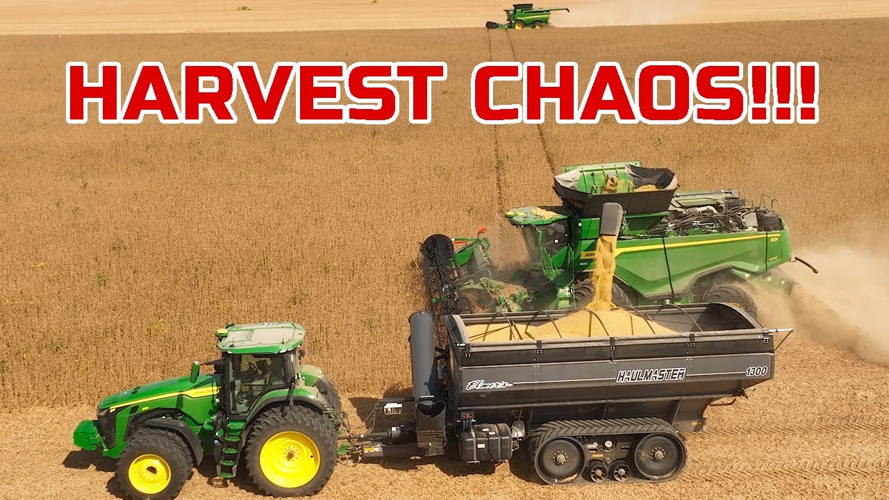 Hands-Free Harvest?! Trying Machine Sync for the First Time