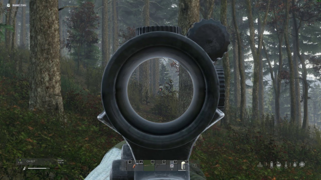 Day Z - Woods Engagement