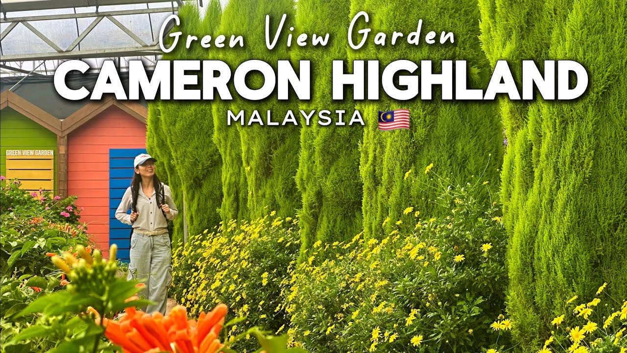 First Stop You MUST Visit in Cameron Highlands - Green View Garden Cameron