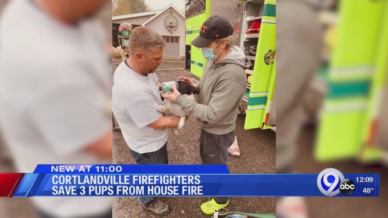 Cortlandville firefighters rescue puppies from house fire