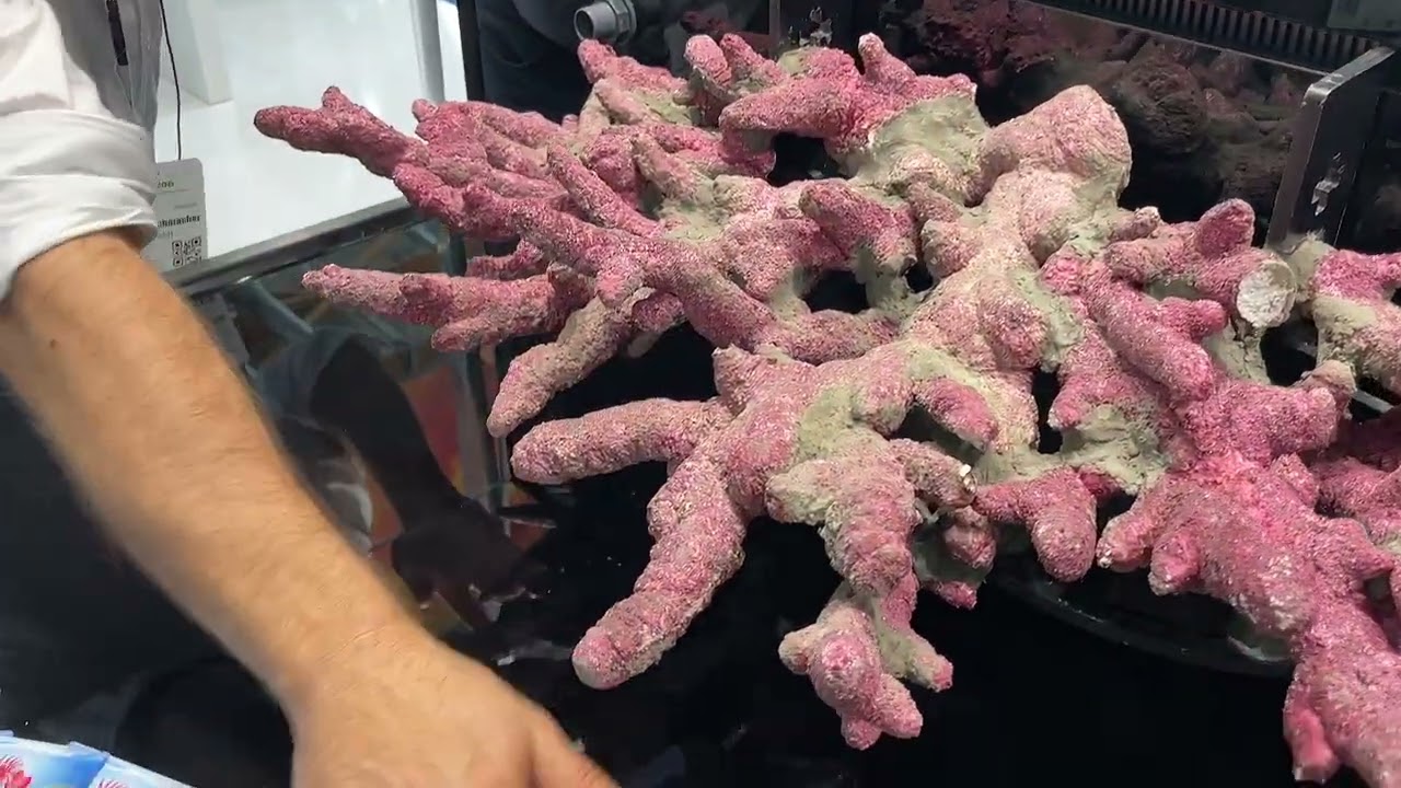 Interzoo | Faunamarin bringt eine Floating-Reef-Vorrichtung!