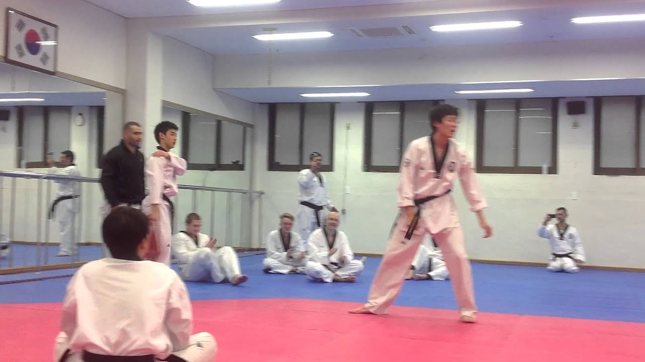 Master Jung teach 540 kick