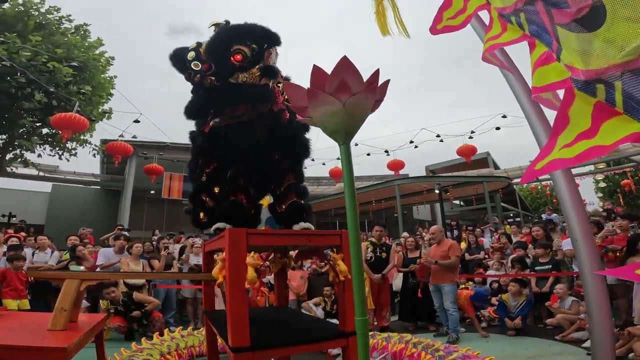 Traditional Bench Lion Dance - Waterford Plaza 2024