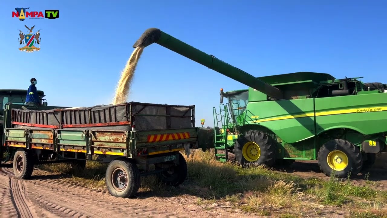 ON THE FARM| GOVT green schemes optimistic about maize production