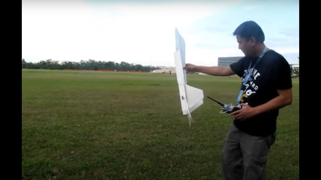 My DIY F-22 Raptor
