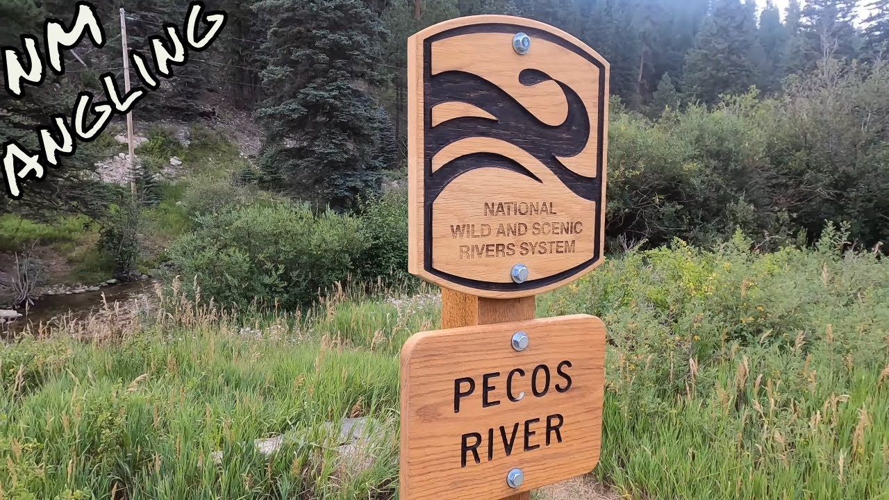 WILD TROUT FISHING in PECOS RIVER (New Mexico)
