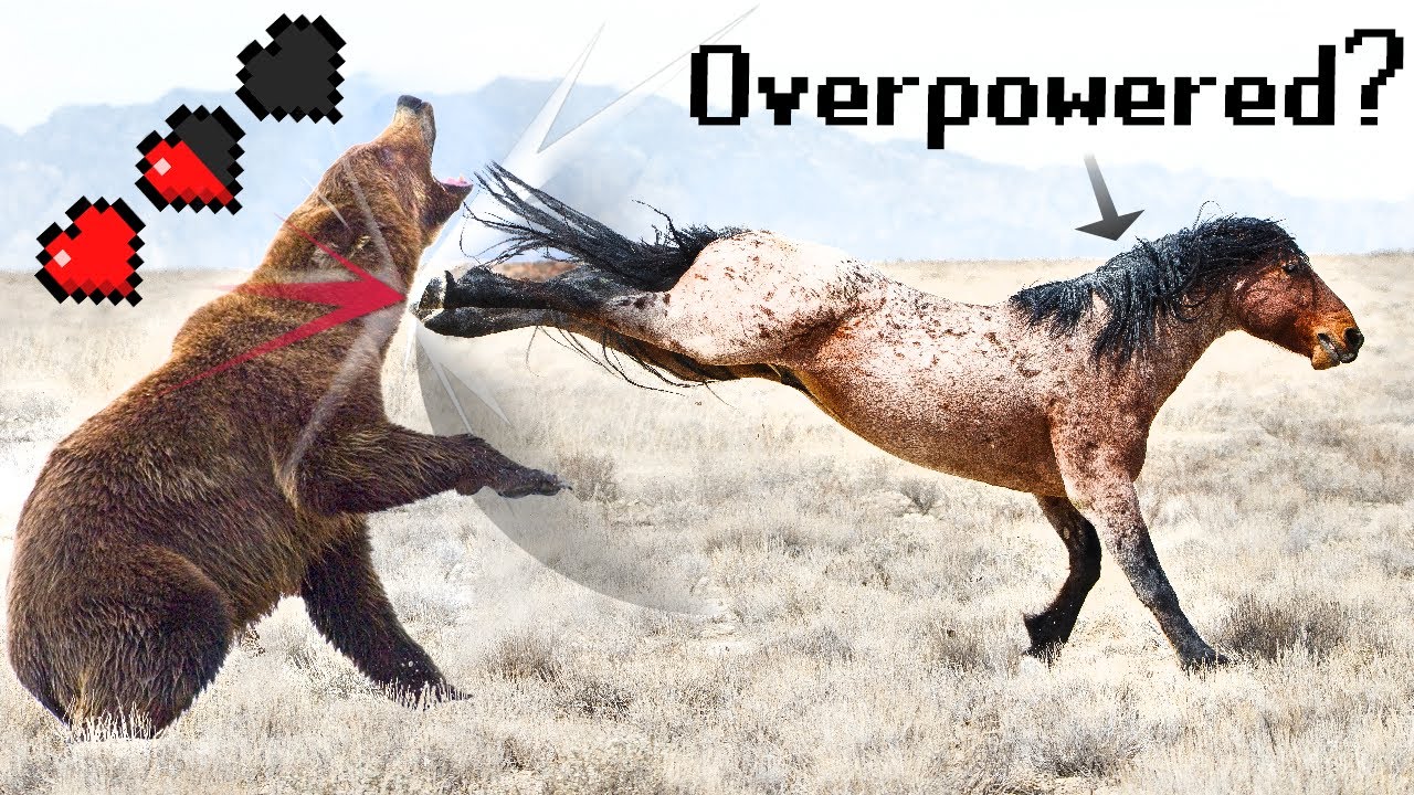 Are Horses Overpowered?