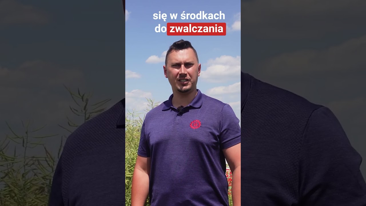 Wybierz LG Constructor CL &ndash; rzepak ozimy z technologii Clearfield&reg; odporny na imazamoks
