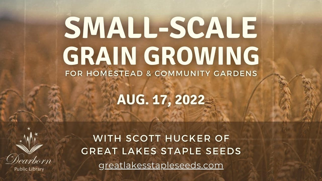 Small Scale Grain Growing for Homestead and Community Gardens