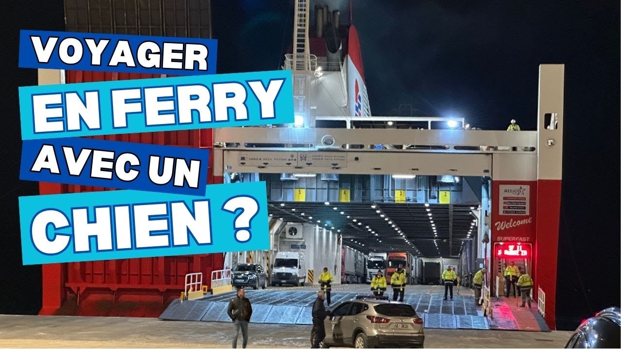 🚢 Traversée en ferry Grèce - Italie avec van et chien !