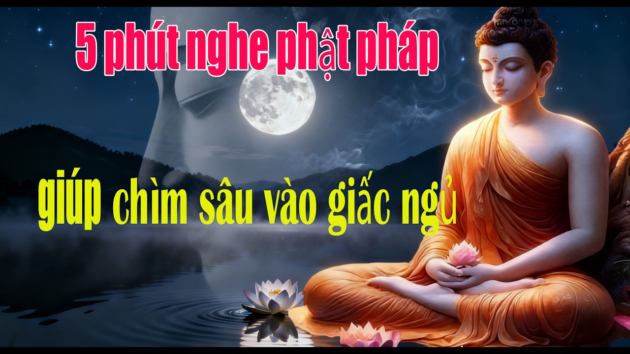 Chỉ 15 Phút Nghe Phật Pháp – Tâm An Và Giấc Ngủ Sâu