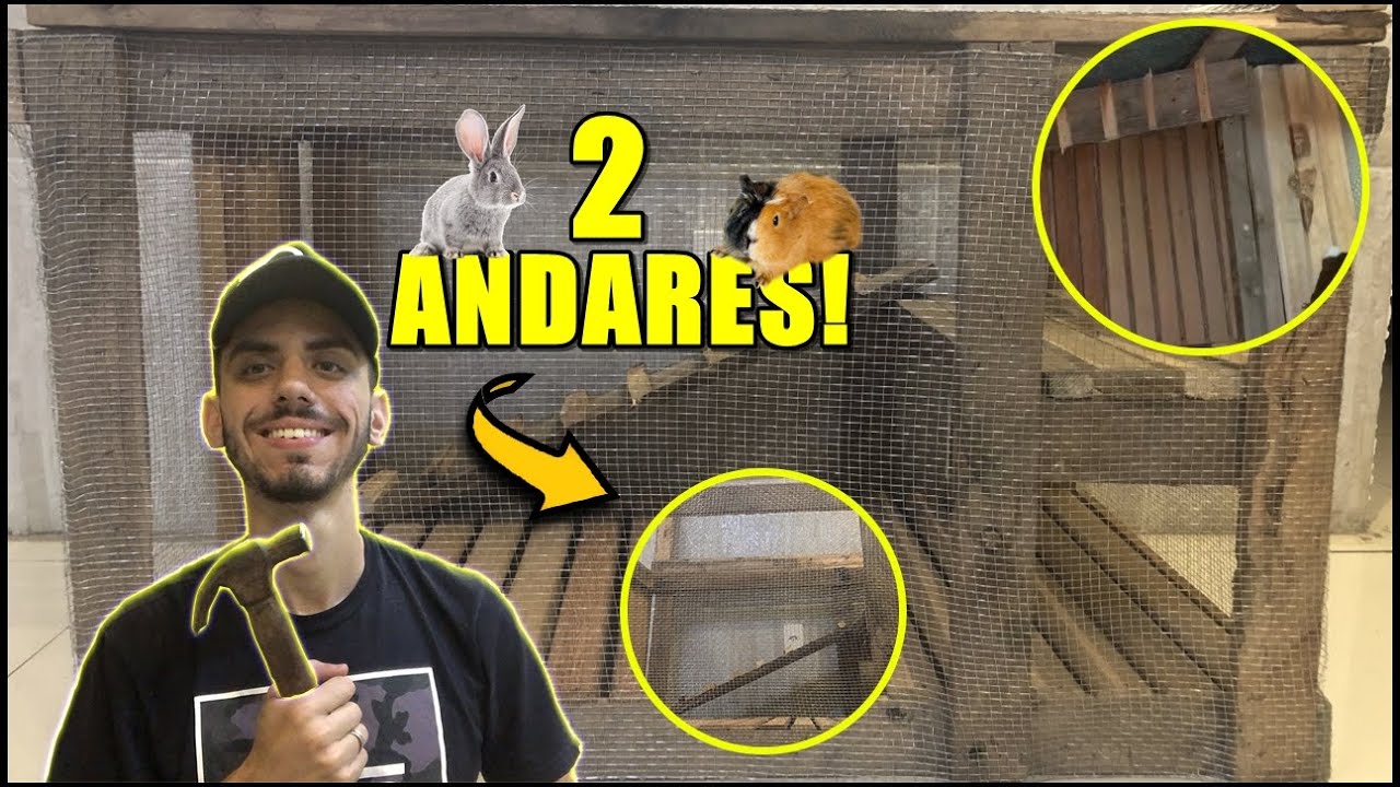 COMO FAZER CASA PARA ROEDORES E COELHOS DE 2 ANDARES! PASSO A PASSO, BAIXO CUSTO!