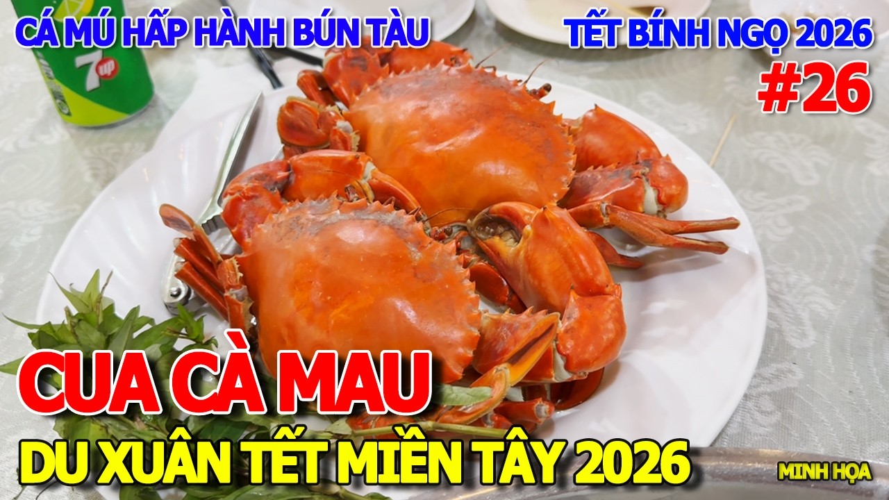 LẦN ĐẦU ĂN CỦA BIỂN CÀ MAU CHÁNH GỐC & CÁ MÚ HẤP HÀNH VỚI BÚN TÀU - DU XUÂN TẾT MIỀN TÂY 2026