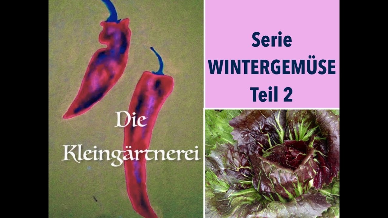 Serie Wintergemüse Teil 2: Balkongemüse im Winter ernten