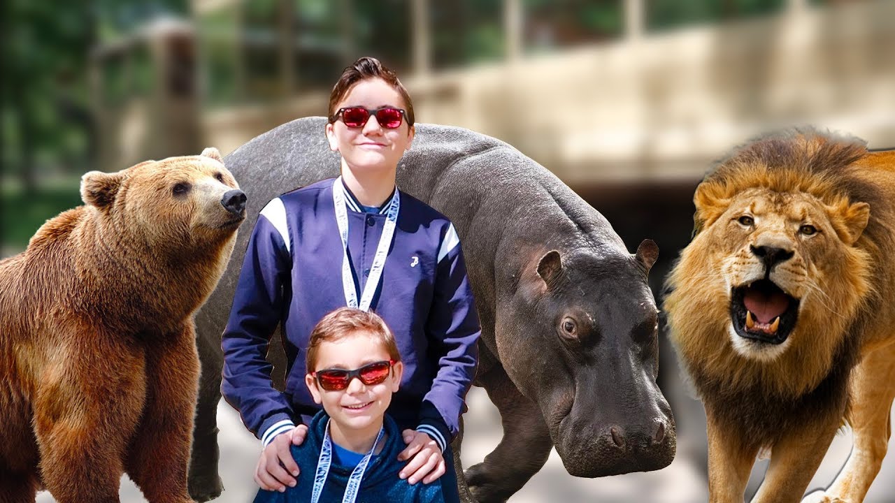 VLOG - AU MILIEU DES LIONS, OURS & HIPPOPOTAMES EN CAMION BROUSSE ! - ZooSafari de Thoiry