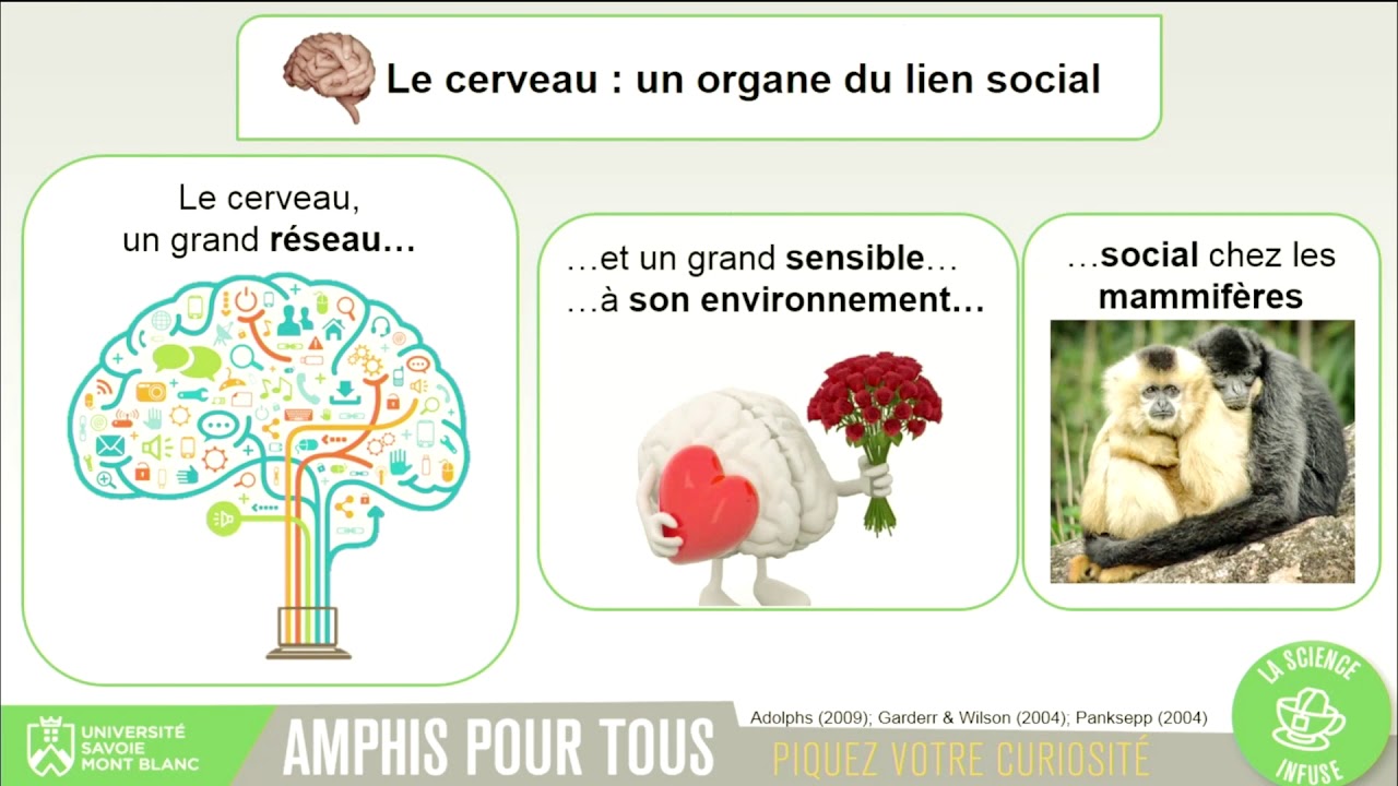 Amphis pour Tous - L’empathie : le cerveau social, pilote de nos émotions et de notre santé