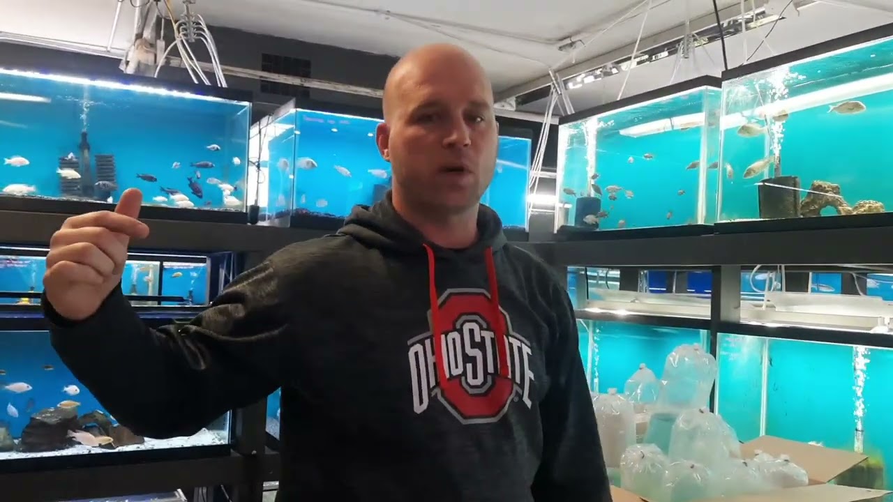 New Wet Pets and every single tank we have in one Video!
