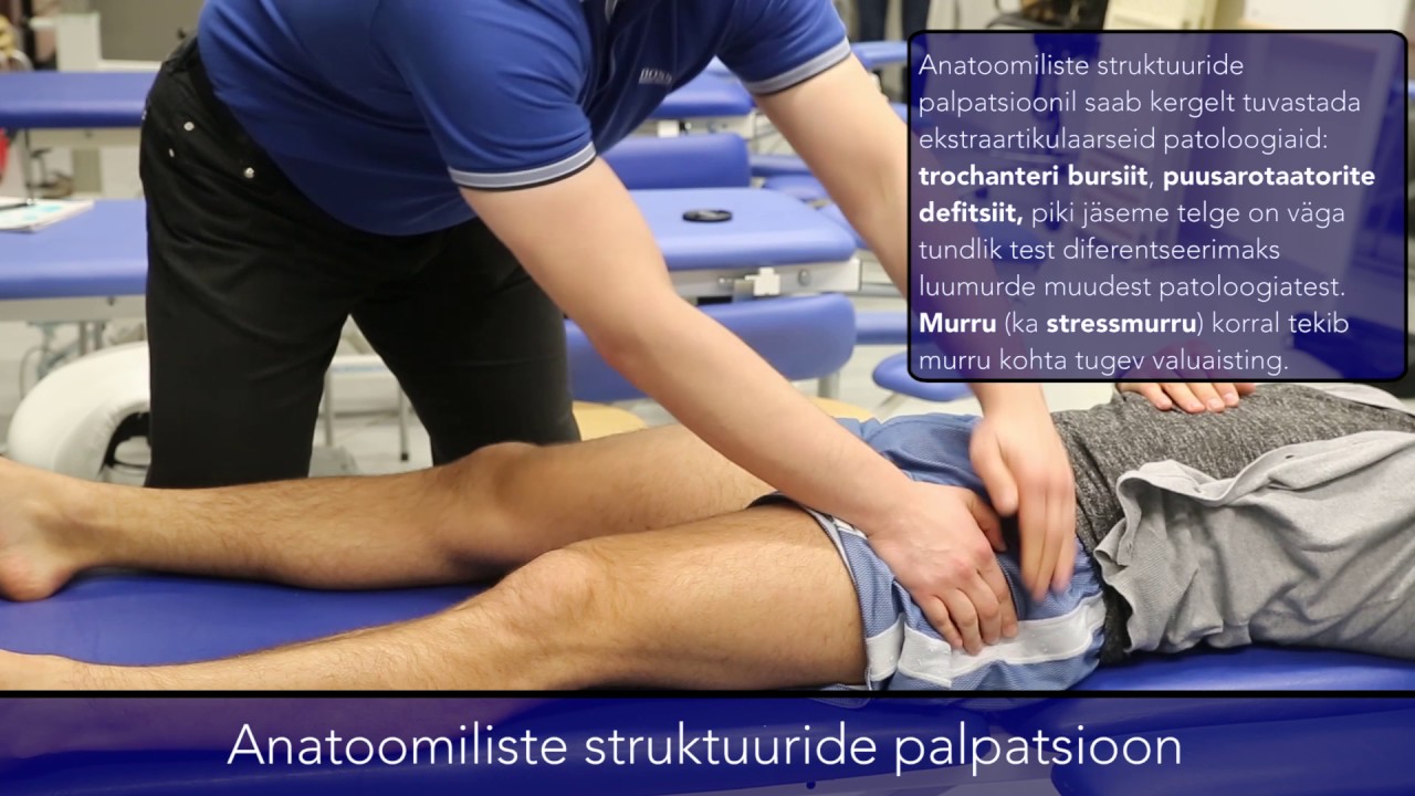 03 Puusaliigese testimine